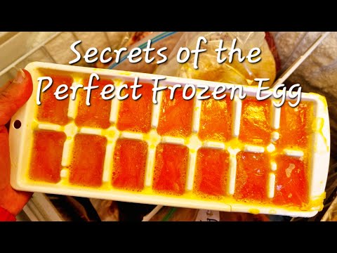 Secrets to Freezing Eggs - NO RUBBERY FROZEN EGGS HERE!!!!