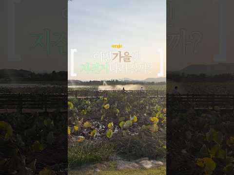 [2026 상주시 sns 서포터즈]