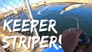 I Didn't Expect It! Catch and Cook! Tom Yum Soup | CA Aqueduct Striper fishing | Delta Mendota Canal