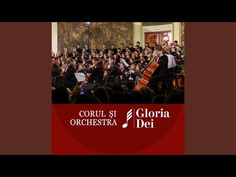 Flute Concerto No. 3 in D major, Il. Gardellino - I. Allegro