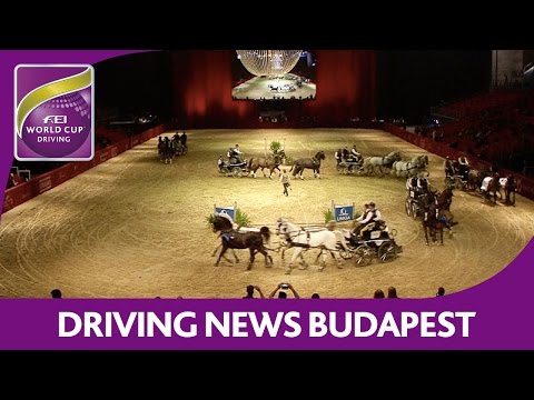Koos De Ronde pushes to the limit - News - FEI World Cup™ Driving - Budapest
