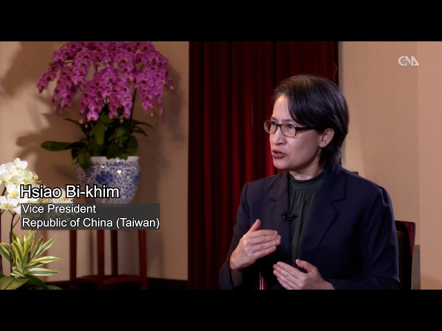 Taiwan's vice president speaks out on drone bill debate