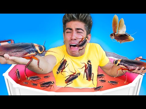 NOS METEMOS EN PISCINA LLENA DE CUCARACHAS !!