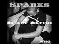 SparksNHO - Do Not Disturb SparksNHO - Do Not Disturb