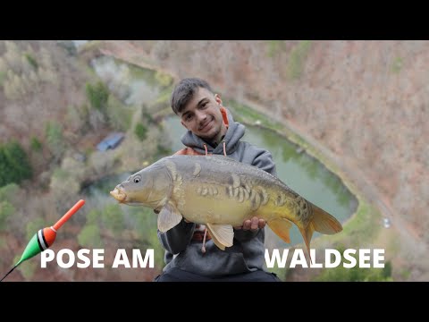 Pose by the forest lake | Success made easy with corn and bread | Tips, tricks & live bites