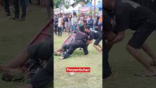 Download lagu Mulih‼️momen penyembuhan pemain jaranan#hiburan #viral #kesenian #kesurupan mp3 Download lagu Mulih‼️momen penyembuhan pemain jaranan#hiburan #viral #kesenian #kesurupan mp3