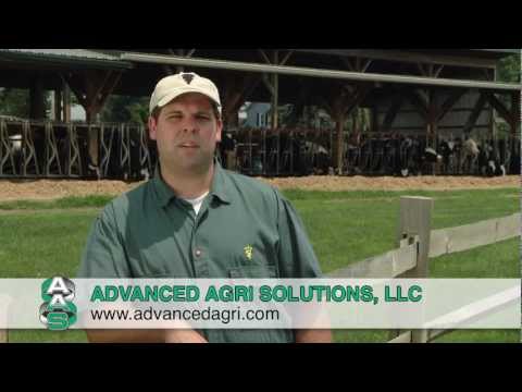 How to Drench a Cow - Simple Step-by-Step Instructions