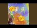 Aster