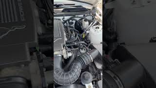 2009 Ford Mustang GT/CS-Engine View 2