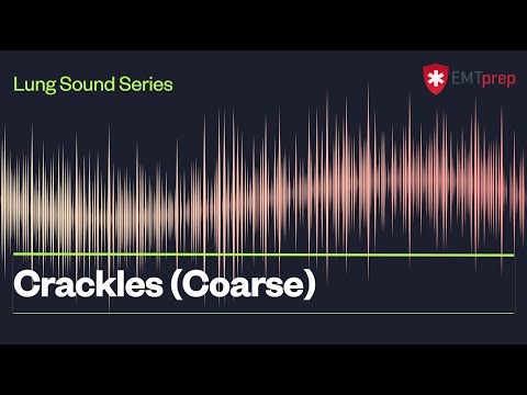 Coarse Crackles Lung Sounds - EMTprep.com