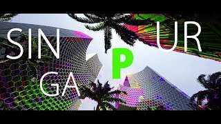 DÜNYA'NIN EN PAHALI HOTELİNE GİRMEK !!! (SİNGAPUR)