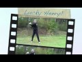 Hol In One Lucky Henry Powered By Www HarryPutter De