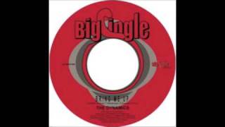 the dynamics - bring me up