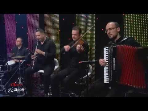 Razvivaj goro zelena - Kiril Mitoski (LIVE)
