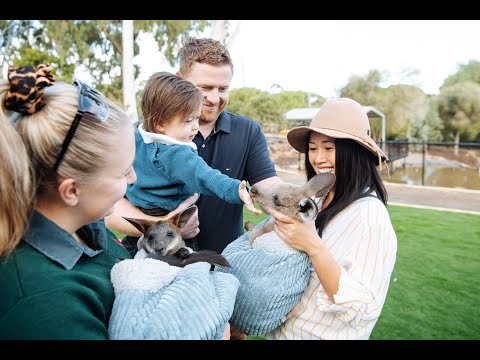 Wagga Wagga Botanic Gardens 2022