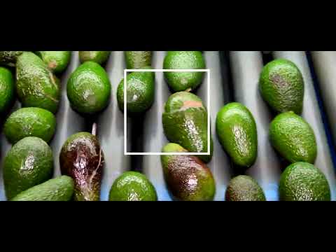 Creative Eye Media video.