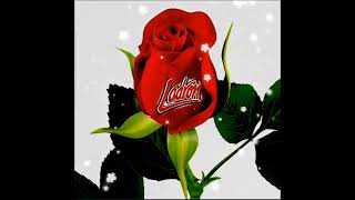 Ladrón  &quot;Ala luz de la Luna&quot;