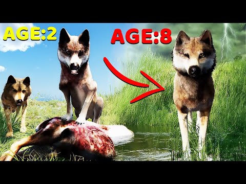 Surviving And Raising A Wolf Pack For 8.5 Years in WolfQuest