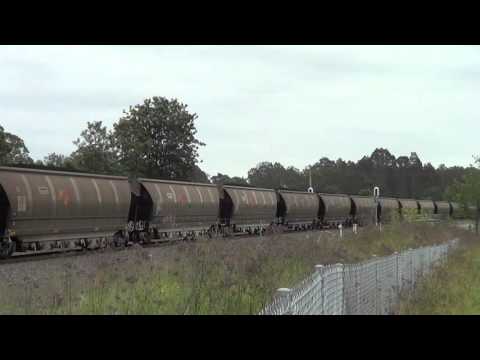 AURIZON COAL TRAIN