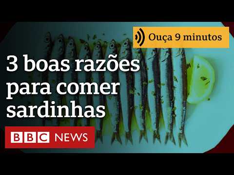 3 motivos por que as sardinhas são um alimento barato e ideal para sua saúde