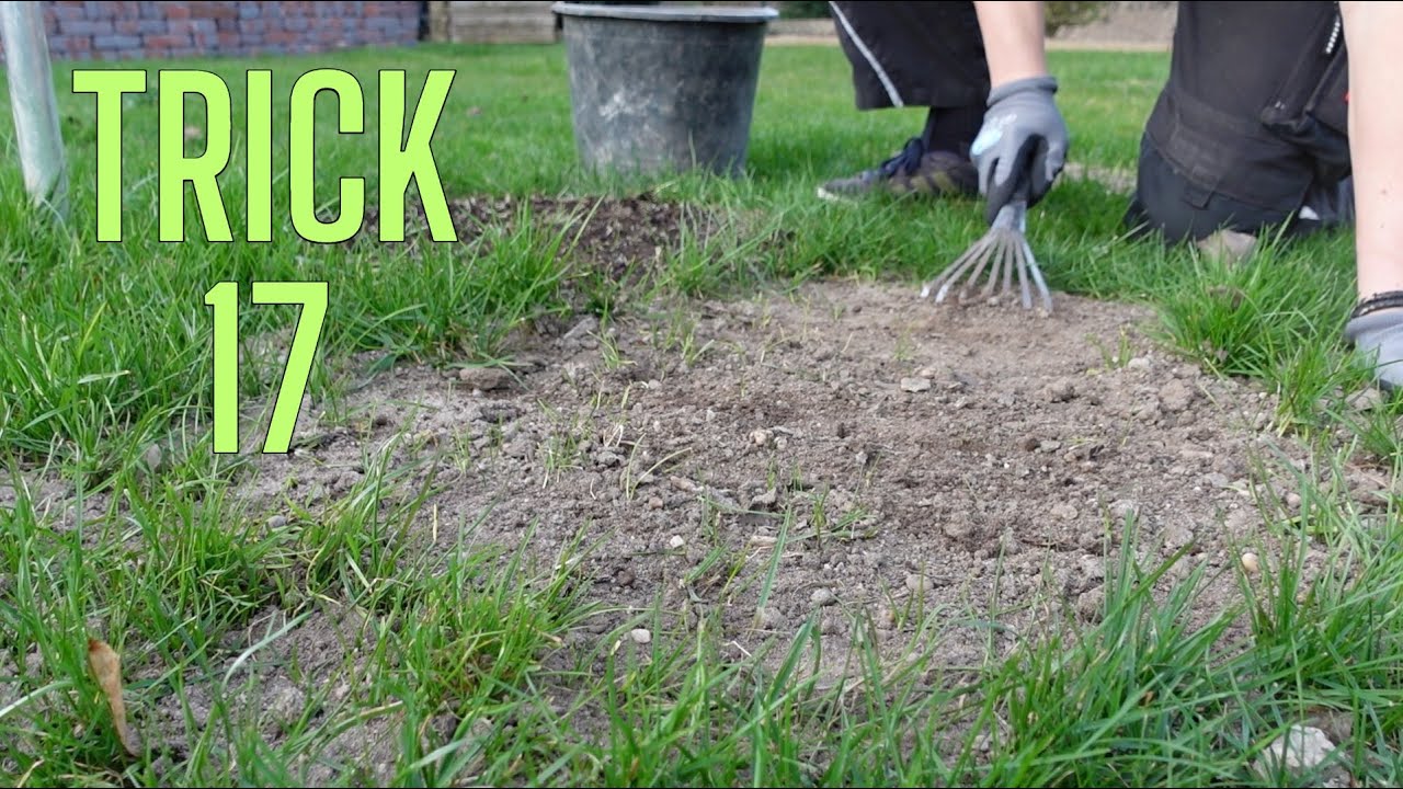 Kahle Stellen im Rasen ausbessern | einfacher Trick