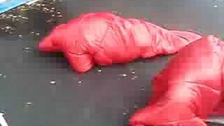 sleeping bag war