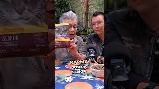 Czym karmię swoje koty?