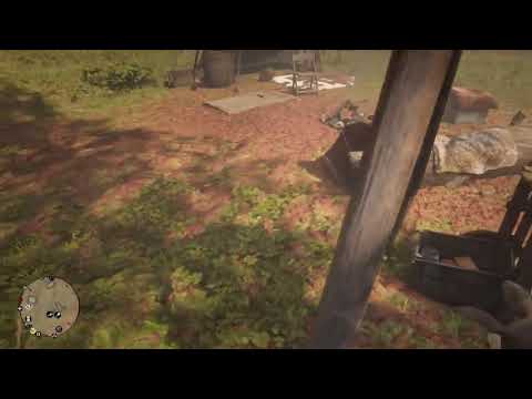 Now I Know Why Dutch Keeps You Around Still - Red Dead Redemption 2