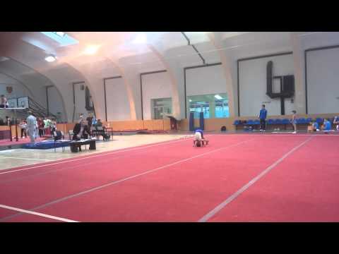 Mateja Kosaric-Nis 25.10.2014. PARTER