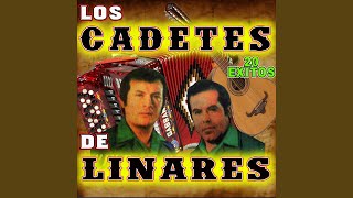 No Te Vayas Vida Mia