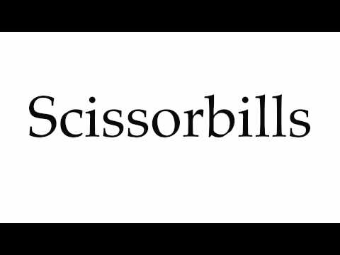 How to Pronounce Scissorbills