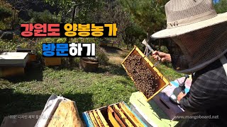 강원도 양봉업자 조지워싱턴