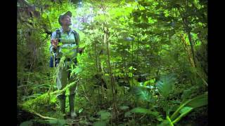 Help protect Clayoquot Sound and take action!