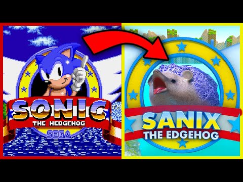 Sonic, but you are a real Hedgehog?!