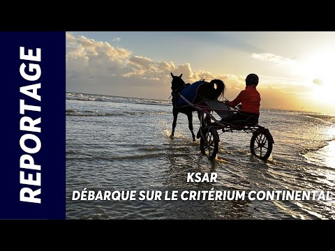 KSAR DÉBARQUE SUR LE CRITERIUM CONTINENTAL - AMERIQUE RACES Q3 DIMANCHE 22/12/24