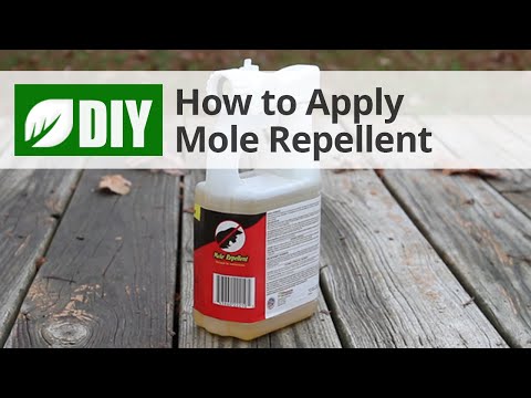  How to Apply Mole Repellent  Video 