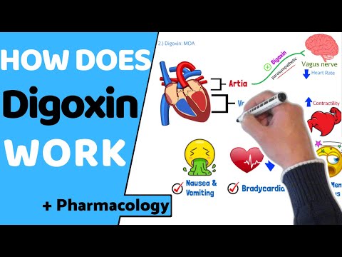 How does Digoxin Work? (EASY Pharmacology)