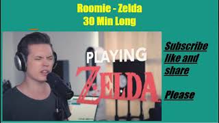 Roomie - Zelda 30 Mins Long