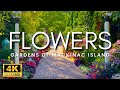 The Most Beautiful Flowers With Peaceful Music For Relaxation Mackinac Island Garden Scenes 4K