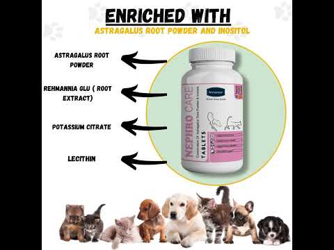 Nephro Care Tablets-aniamor- Lecithin Tablets- 60 Tablets