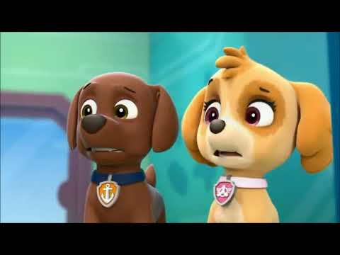 Paw Patrol Funny Moments - Best Animation Moments For Kids #66