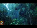 Rainforest Atmosphere Sounds Of Rain Jungle Birds And Heavy Distant Thunder To Sleep Study Relax