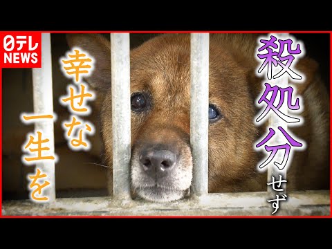ソヴァージュ動物保護区 - 定義