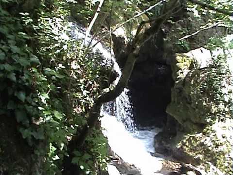 31 iul 2012 concediu Caras-Severin