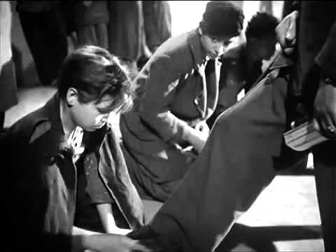 afbeelding SHOESHINE Trailer