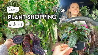 Oops I Did It Again 🌿 Houseplant Retail Therapy!