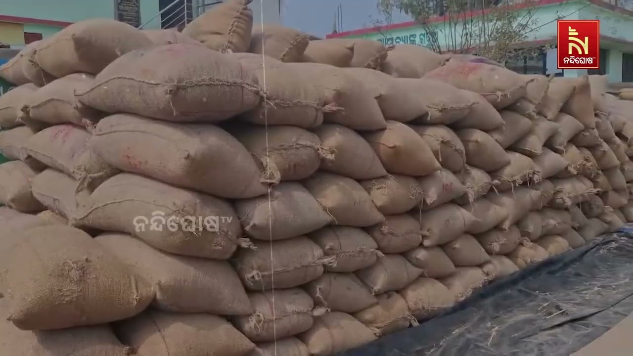 ନୂଆ ସରକାରରେ ଏସଏଚଜି ଗ୍ରୁପ ଅବହେଳିତ, ଧାନ କ୍ରୟ ପ୍ରକ୍ରିୟା