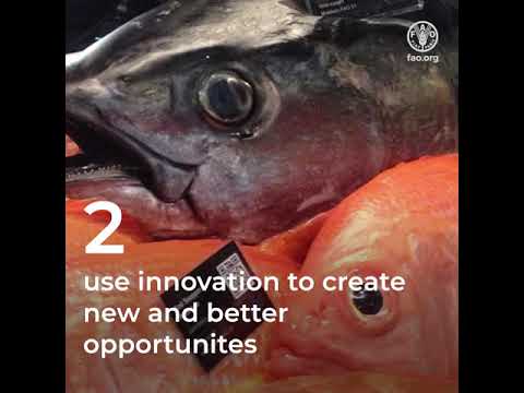 The Sustainable Fish Value Chain for Small Island Developing States (SVC4SIDS)