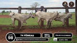 Vídeo LOTE 98