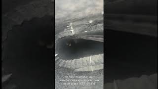 Airwhip dust agitation